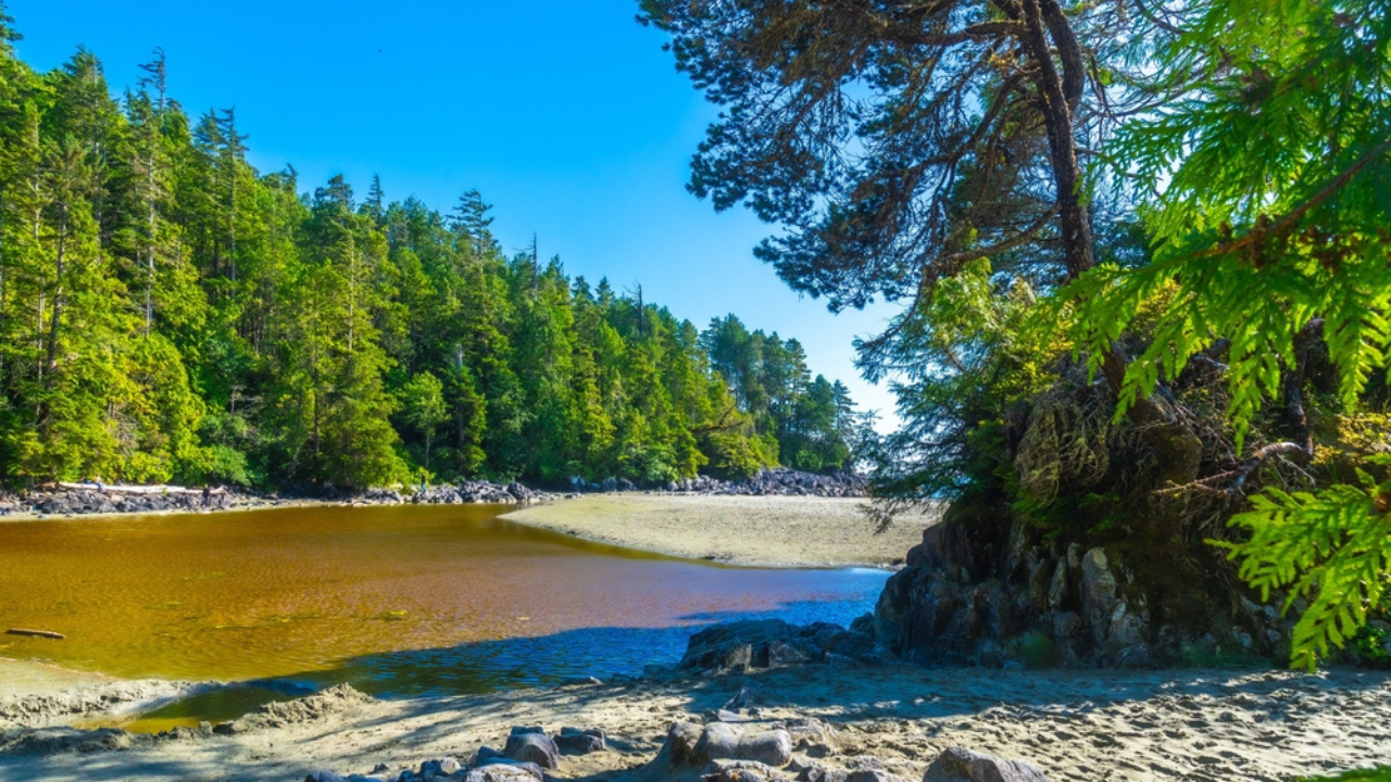 7. Tofino, British Columbia