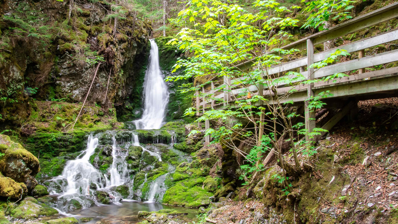 14. Fundy National Park, New Brunswick