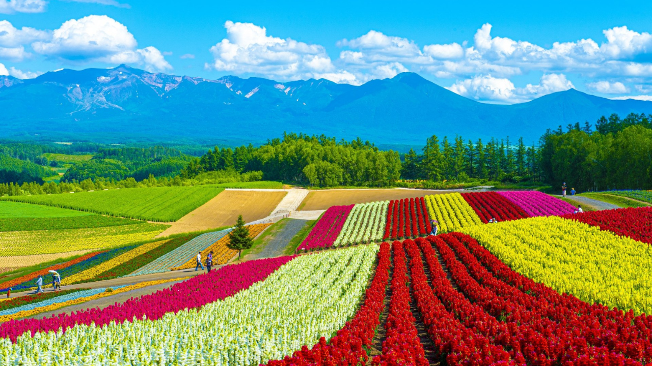 5. Hokkaido Countryside, Japan