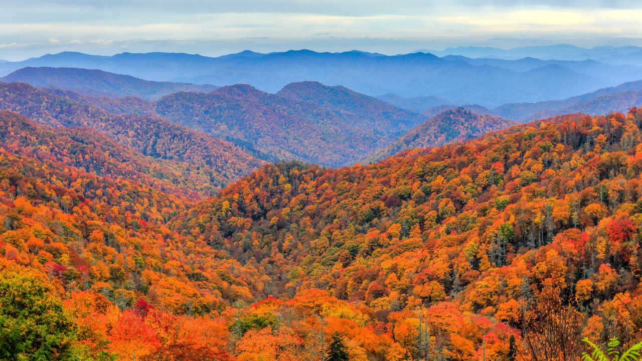 9. Great Smoky Mountains (Quiet Areas), USA