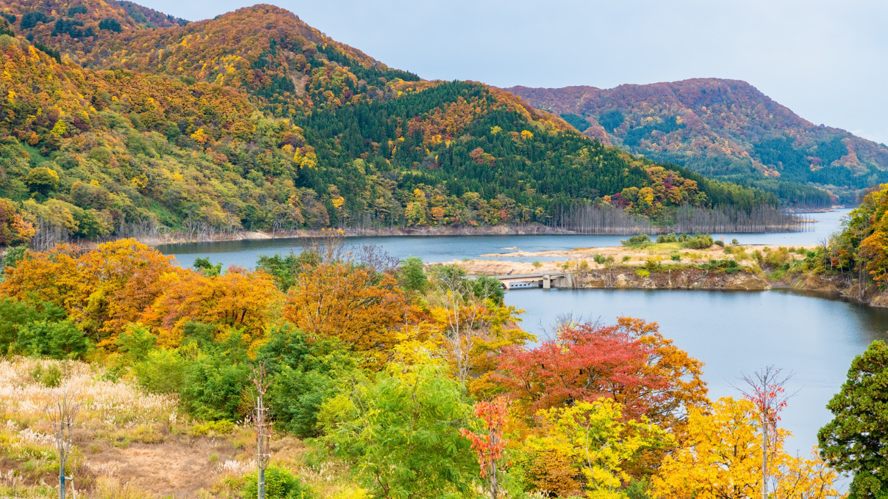 19. Shirakami-Sanchi, Japan