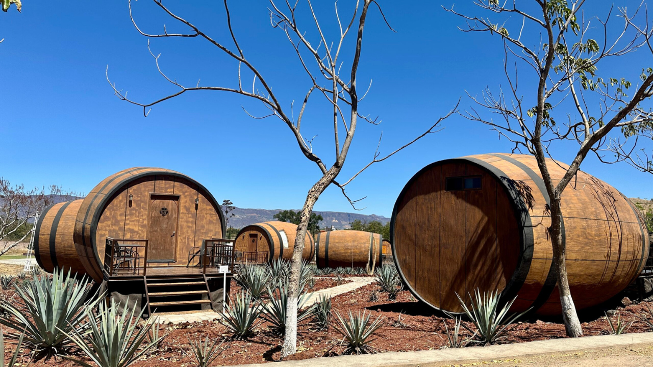 1. Tequila Distillery Tour in Tequila, Jalisco