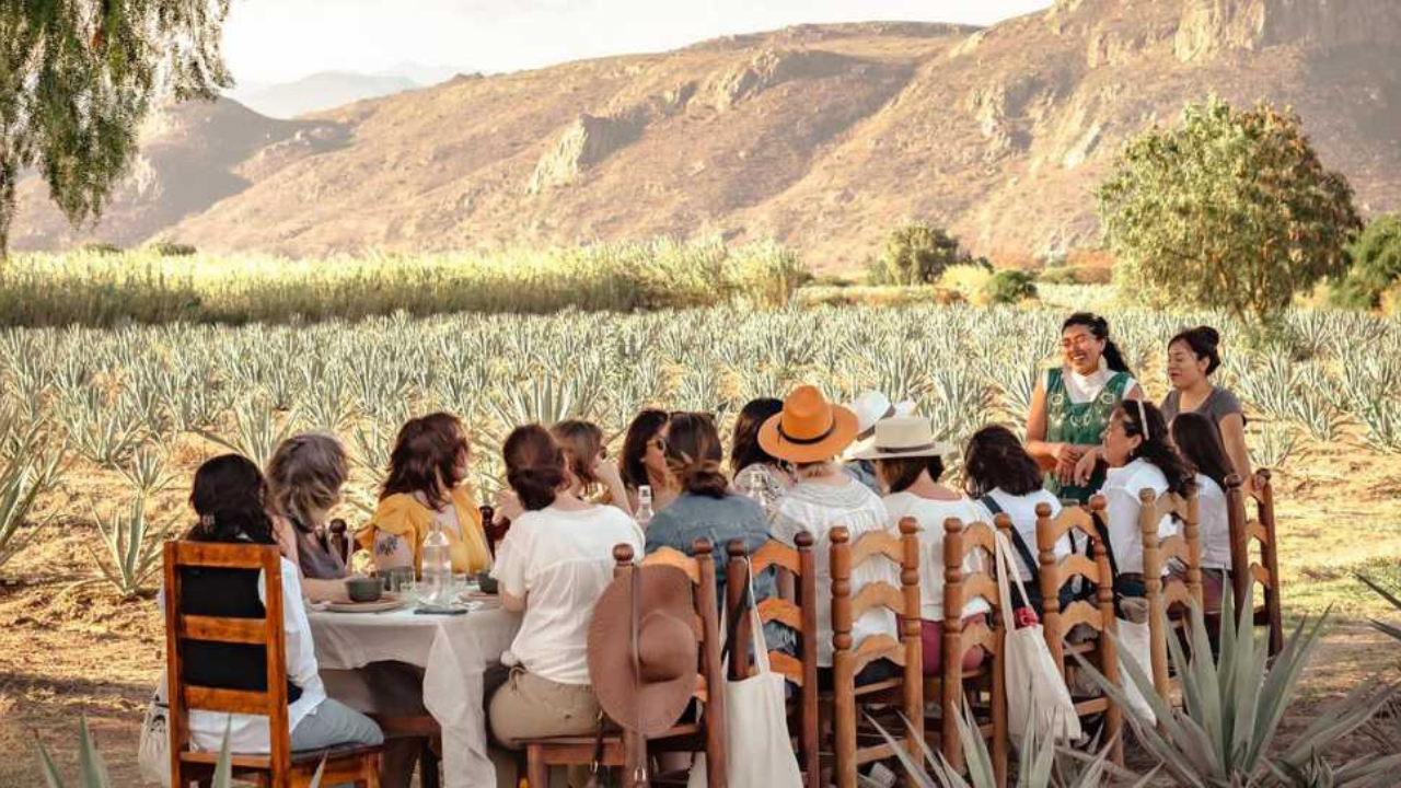 2. Mezcal Palenque Tour in Oaxaca