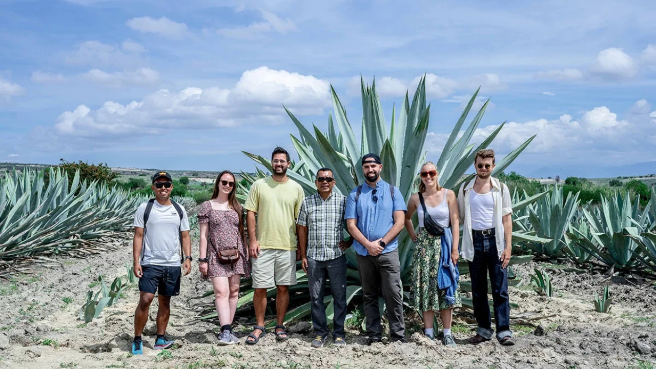 3. Artisanal Mezcal Tour in Santiago Matatlán