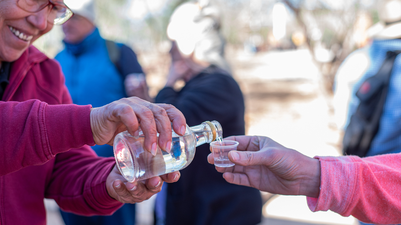 5. Bacanora Distillery Tour in Sonora