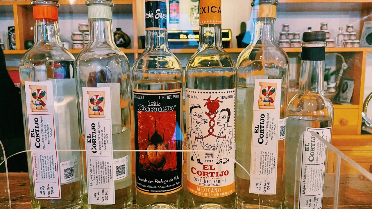 13. Mezcal Night Tasting Experience in Oaxaca