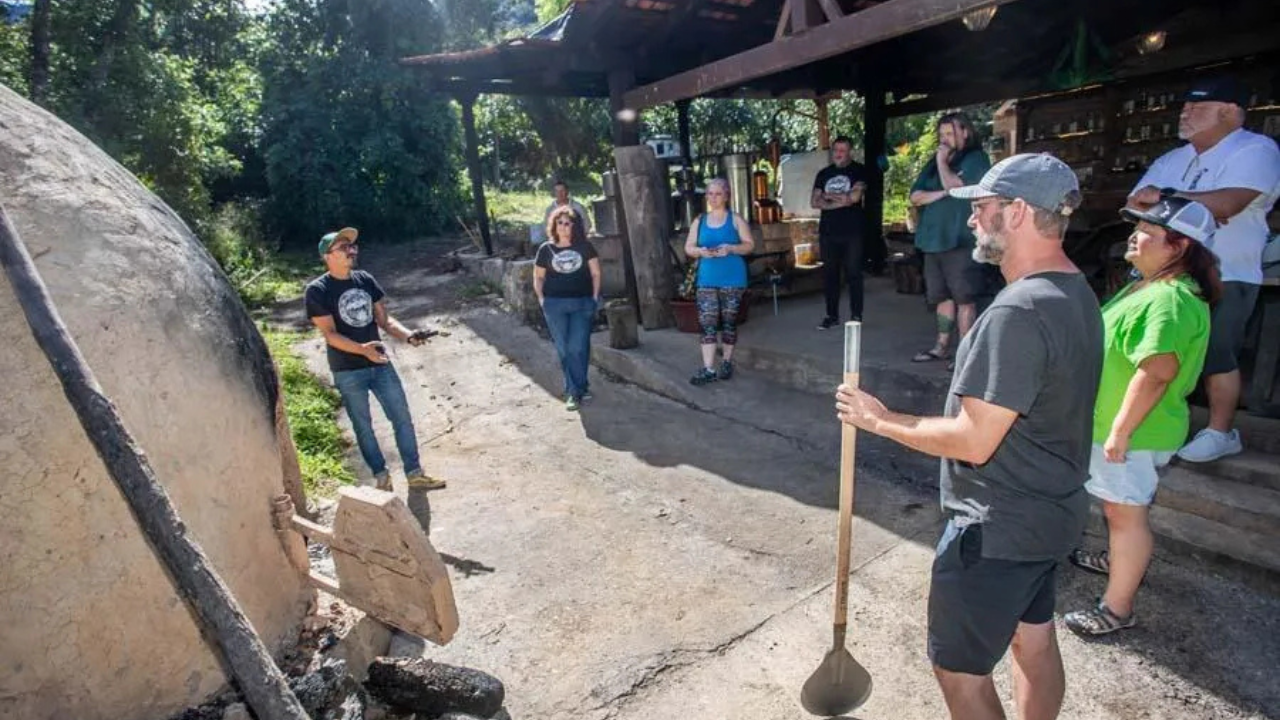 14. Raicilla Jungle Distillery Tour in Jalisco