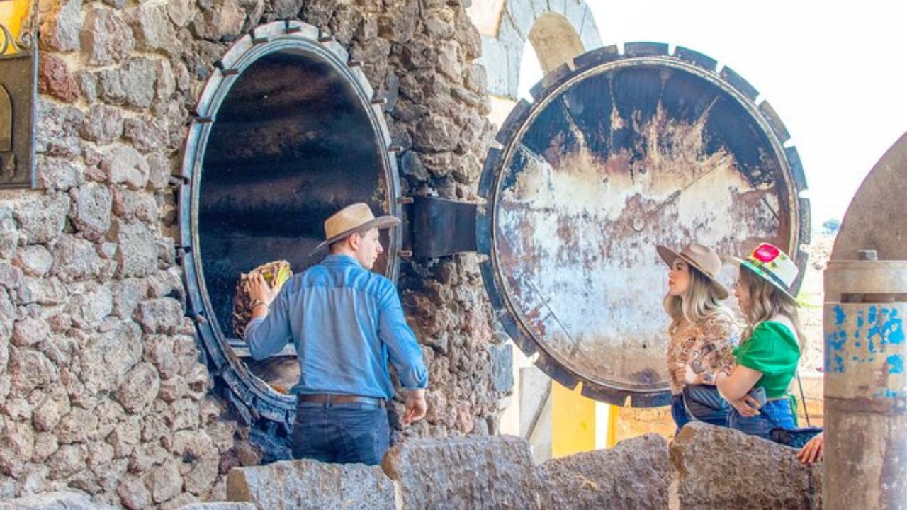 16. Multi-Region Agave Tour (Custom Experience)